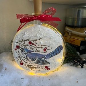 HAND CRAFTED BLUE JAY  IN WINTER DECOR-lighted